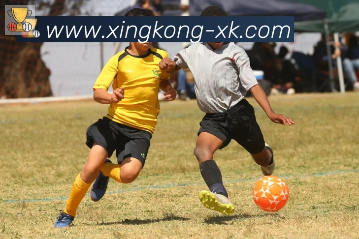 xingkongAPP 封面图