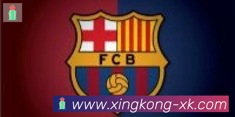 xingkong合作伙伴