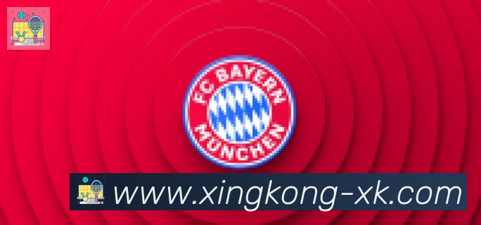 xingkong合作伙伴