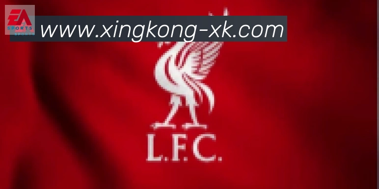 xingkong合作伙伴