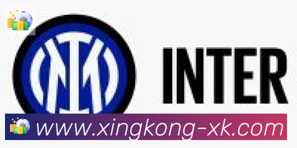 xingkong合作伙伴