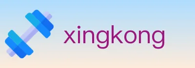 xingkong logo